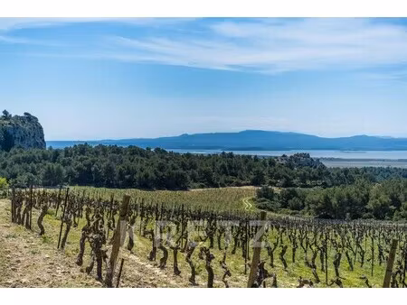 propriété viticole à vendre dans le quartier bourg-charité