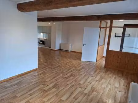 appartement 1 chambre lumineux avec terrasse (prés de herve)