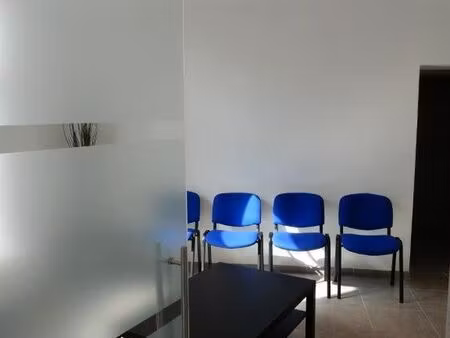 professions libérales  intellectuelles  artistiques.