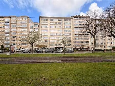 jan van rijswijcklaan | bel appartement rénové avec 3 chamb