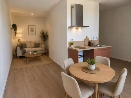 vente appartement 1 pièce 29 m² à aire-sur-l'adour (40800)  69 500 €