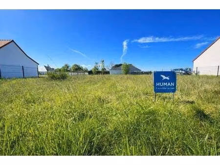 terrain constructible viabilisé à vendre