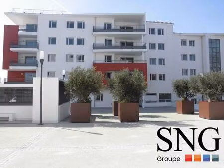 s.n.g immobilier