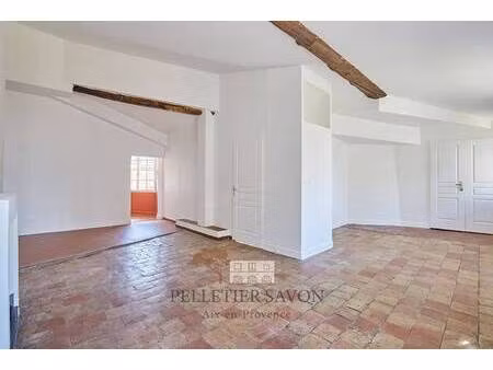 l'immobiliere pelletier savon