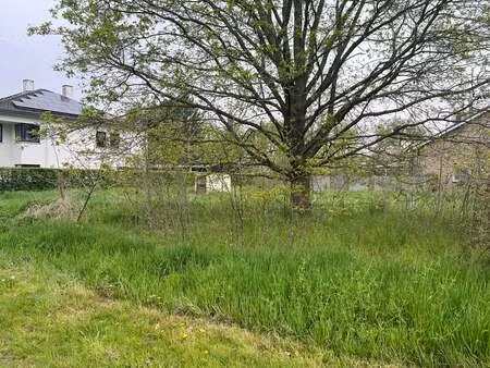 terrain à vendre à leut € 285.000 (lndqz) - | zimmo