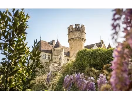 château avec parc et étang dans le jura viticole