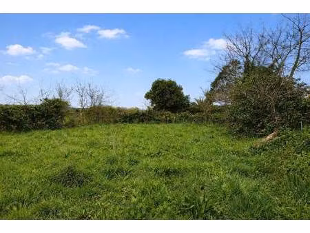 terrain constructible à vendre
