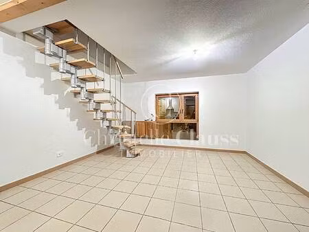 duplex à vendre