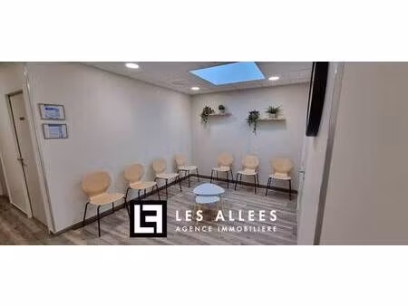 immobilière les allées
