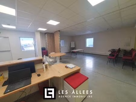 immobilière les allées