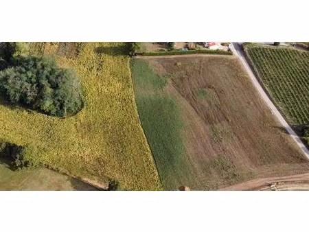 terrain constructible viabilisé à vendre