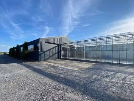 bien professionnel à louer à egem € 1.000 (lnepi) - era lafaut (tielt) | zimmo