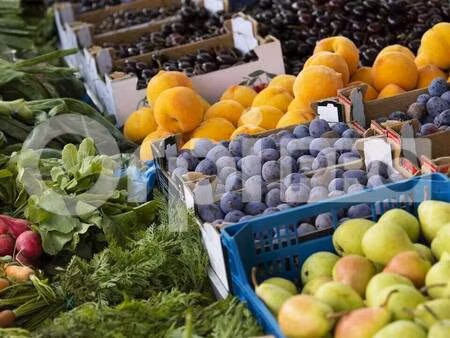 tyrosse immobilier pro-pci