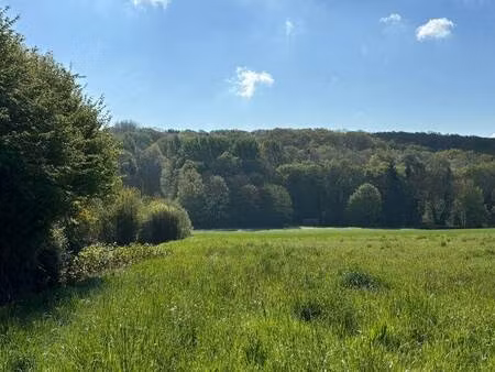 turlin stephanie et emmanuel agent mandataire optimhome