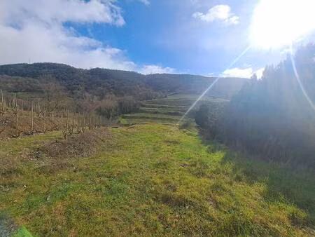 terrain à vendre