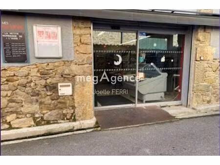 joelle ferri consultant megagence