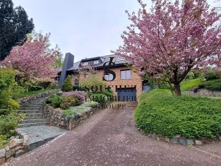 souchez immobilier - souchez