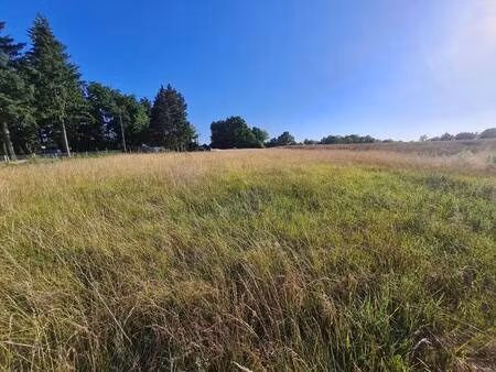 terrain constructible viabilisé à vendre