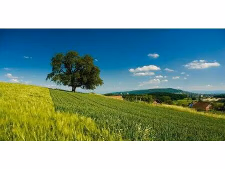 terrain constructible à vendre