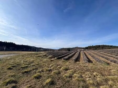 terrain constructible viabilisé à vendre