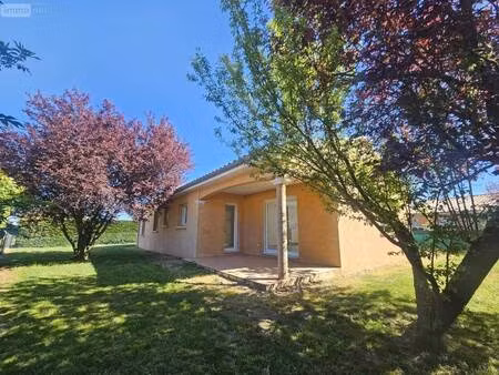 sarl agnès rivon et véronique merle