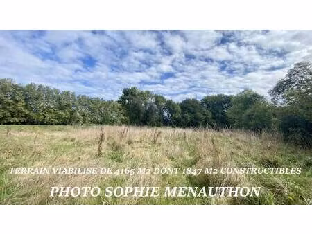 terrain constructible viabilisé à vendre