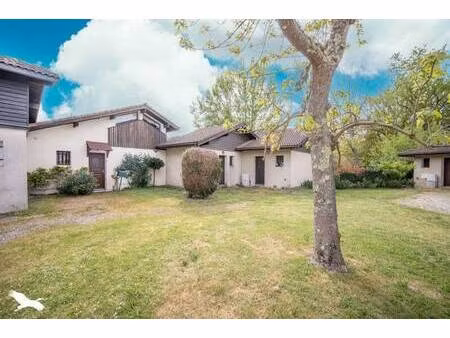 human immobilier léon