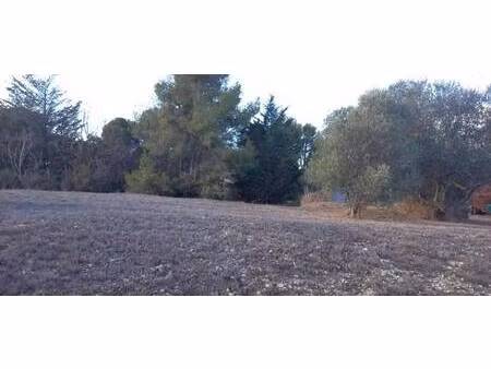 terrain constructible viabilisé à vendre