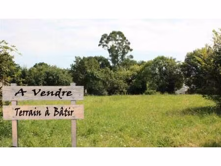terrain constructible viabilisé à vendre