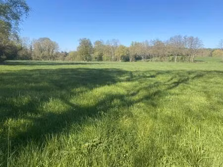 terrain constructible viabilisé à vendre