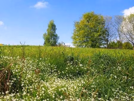 terrain constructible à vendre