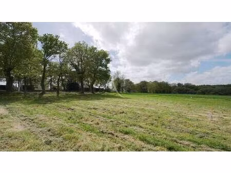 terrain constructible viabilisé à vendre