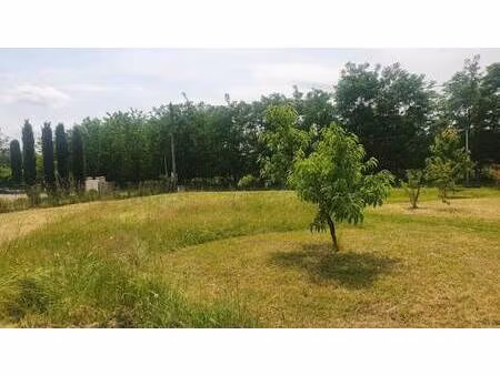 terrain constructible à vendre