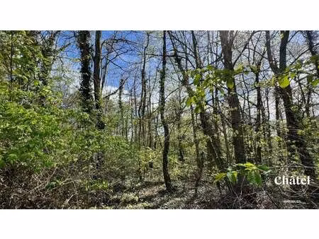 terrain à vendre