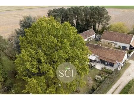 sologne conseil immobilier