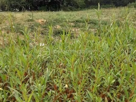terrain constructible viabilisé à vendre