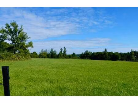 villas melrose homexpo