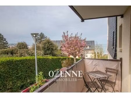 ozenne immobilier