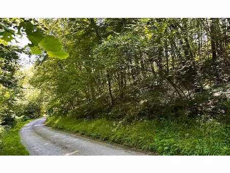 joli terrain boisé avec largeur à front de rue important