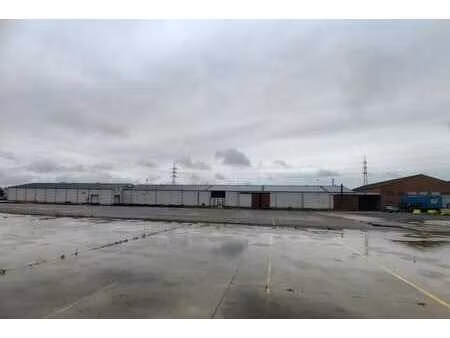 entrepôt à louer à tessenderlo