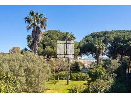 immo de corse balagne