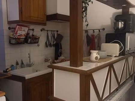 appartement avec cour privative  centre ville