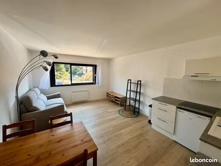 grand studio meublé  refait à neuf + parking