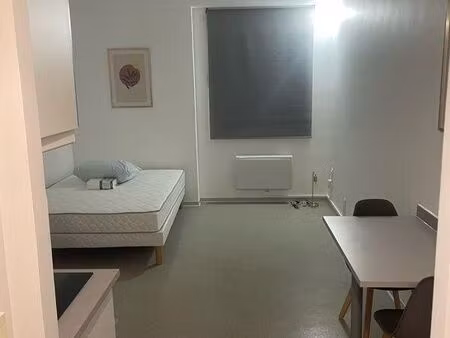 studio 1 pièce 21 m²