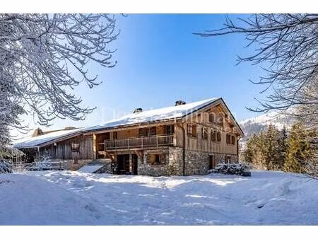 douglas elliman france chamonix