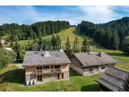 douglas elliman france
