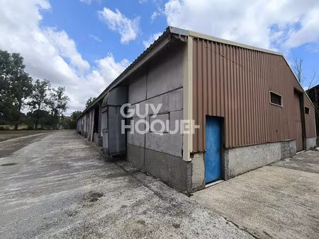 vente ferme 1 pièce 700 m² à amou (40330)  129 000 €