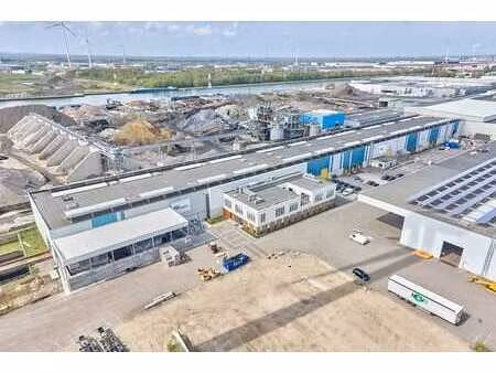 immeuble industriel stratégiquement situé à genk-sud