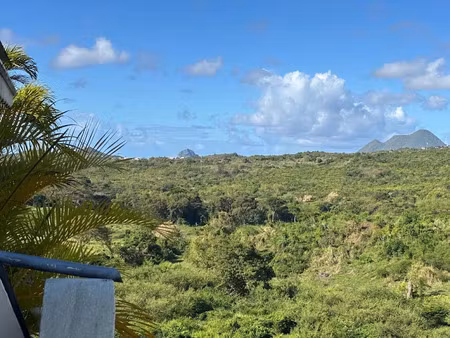 vente appartement 3 pièces 75.47 m² à sainte luce (97228)  286 000 €
