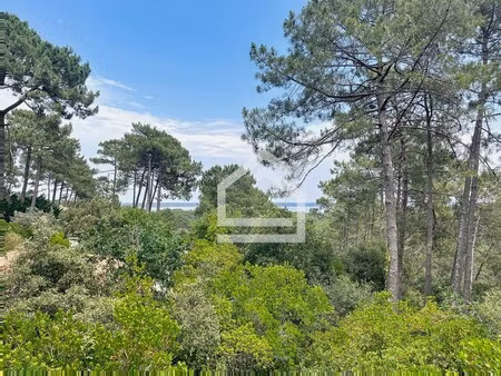 maison de luxe à vendre à lacanau